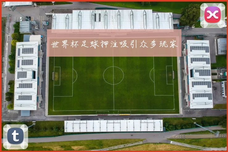 世界杯足球押注吸引众多玩家
