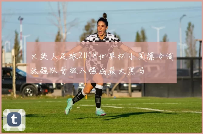 火柴人足球2018世界杯小国爆冷淘汰强队晋级八强成最大黑马